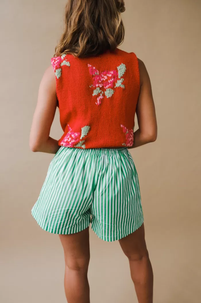 Shorts | WRAY Windy Beach Shorts Fern Stripe